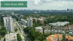 D'Leedon (D10), Condominium #104835692